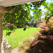 Sunny Courtyard View