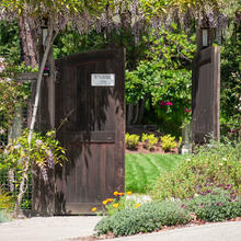 Vine St Entrance to Campus